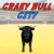 Crazy Bull City img