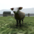 Crazy Cattle 3D Game img